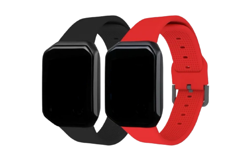 Bipeur Serveur LC-S200